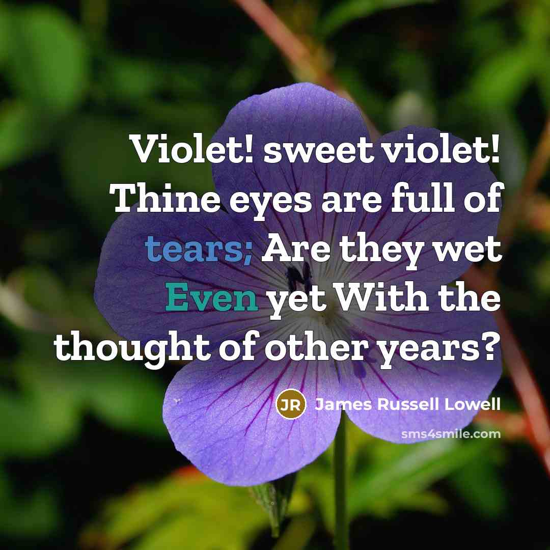 “Violet! sweet violet! Thine eyes are full of tears; Are…” quote by James Russell Lowell