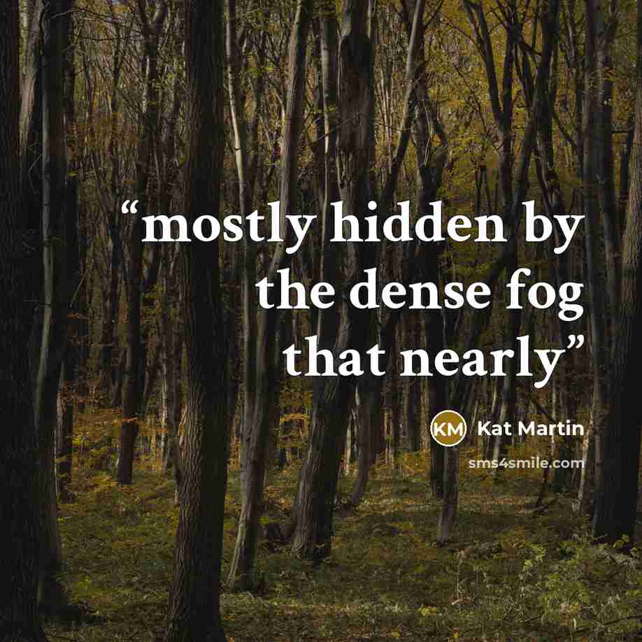 “mostly hidden by the dense fog that nearly” quote by Kat Martin
