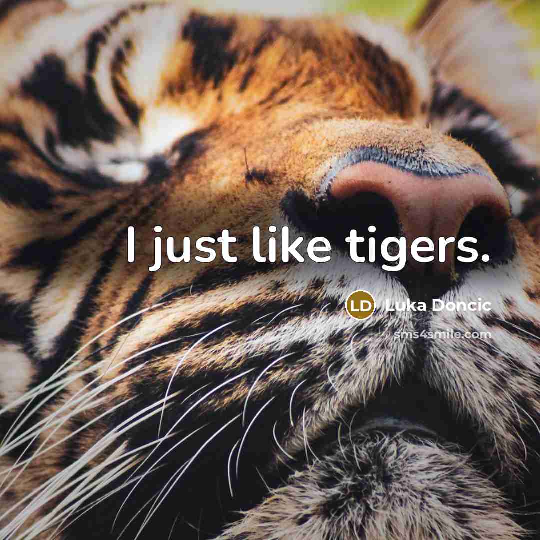 “I just like tigers.…” quote by Luka Doncic