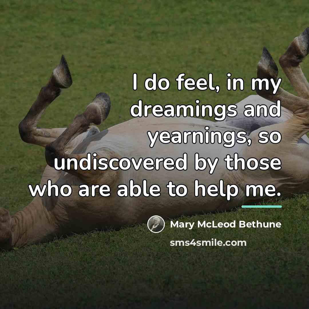 “I do feel, in my dreamings and yearnings, so undiscovered…” quote by Mary McLeod Bethune