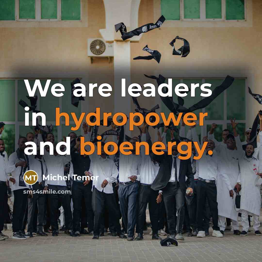 “We are leaders in hydropower and bioenergy.” quote by Michel Temer