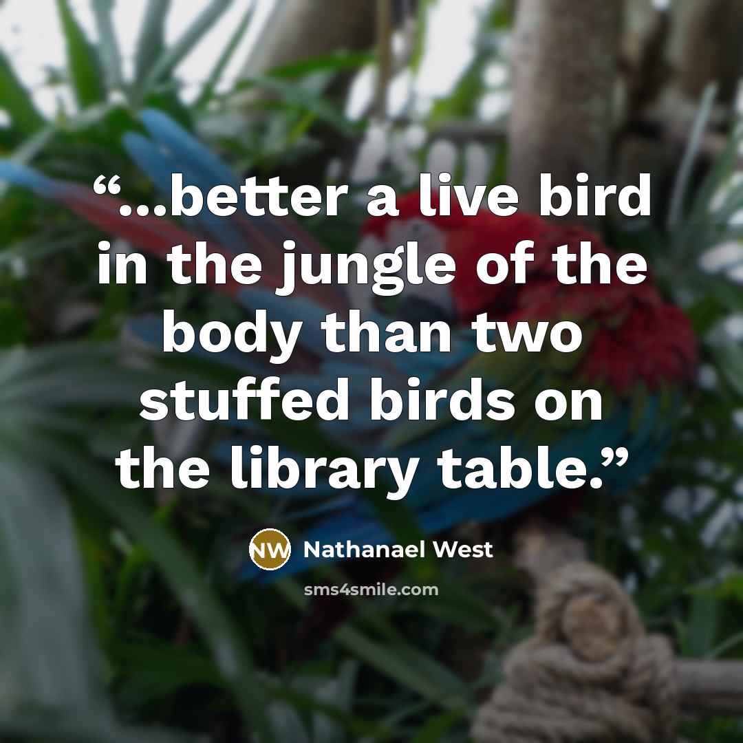 “...better a live bird in the jungle of the body than two stuffed birds on the library table.” quote by Nathanael West