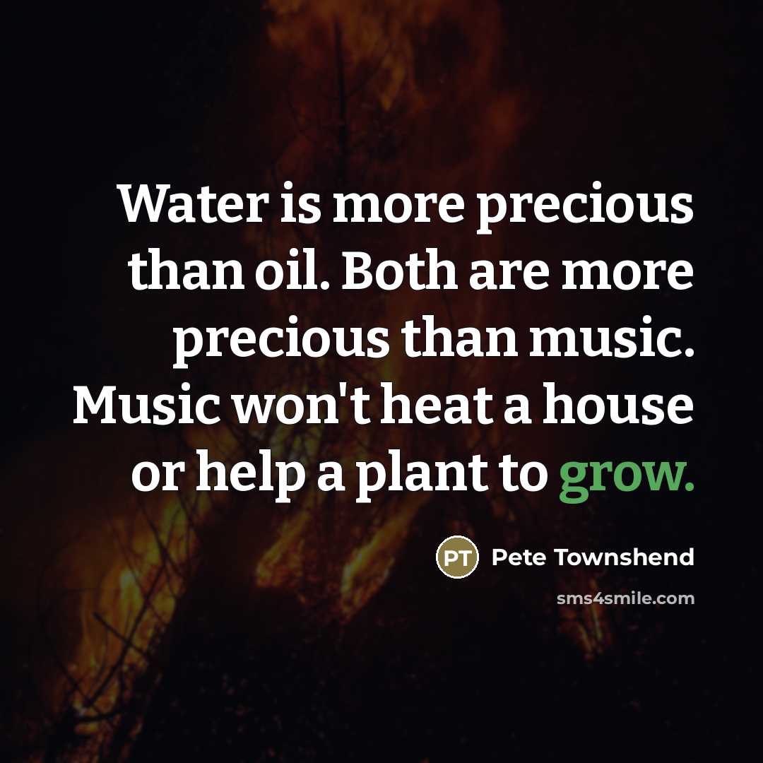 “Water is more precious than oil. Both are more precious…” quote by Pete Townshend