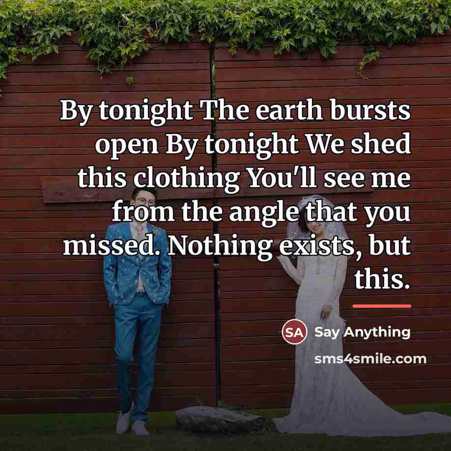 “By tonight The earth bursts open By tonight We shed…” quote by Say Anything