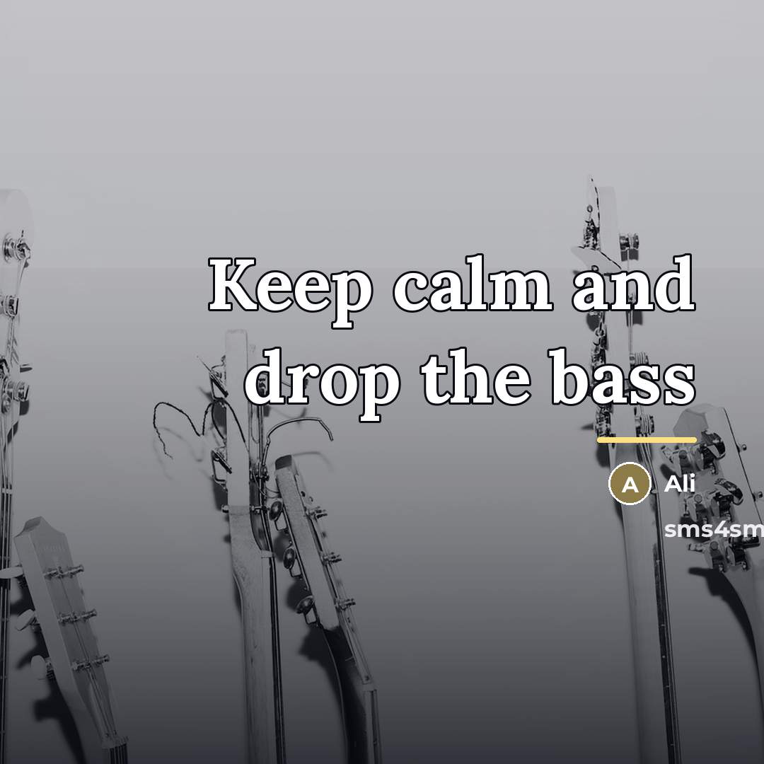 “Keep calm and drop the bass…” quote by Ali