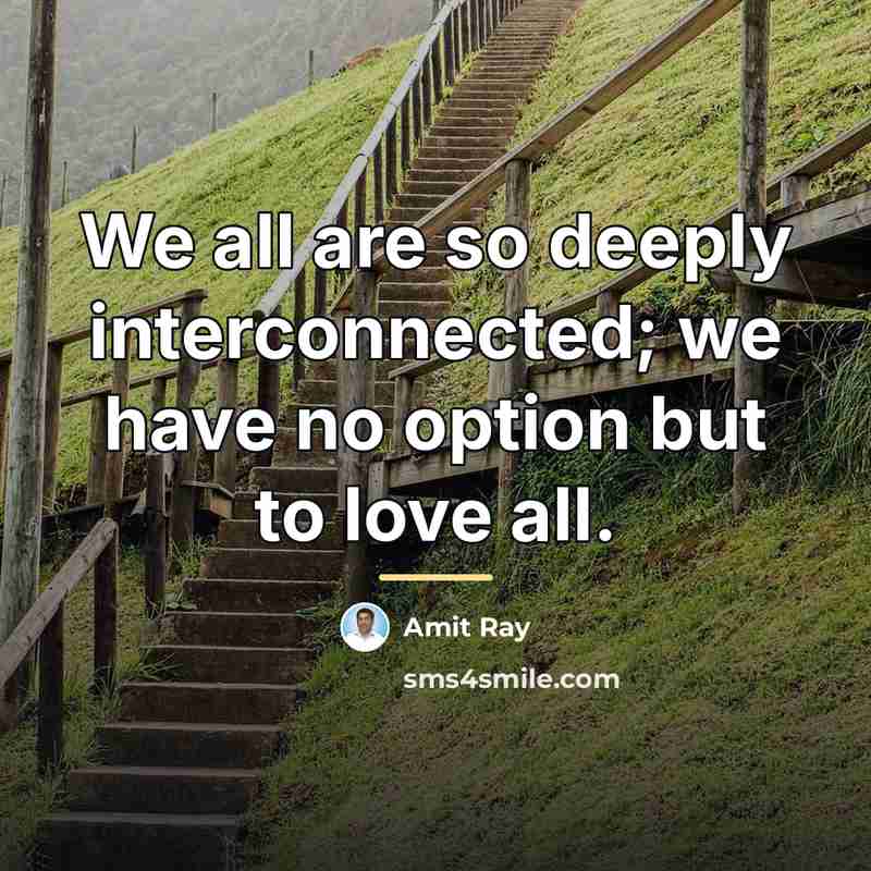 “We all are so deeply interconnected; we have no option…” quote by Amit Ray