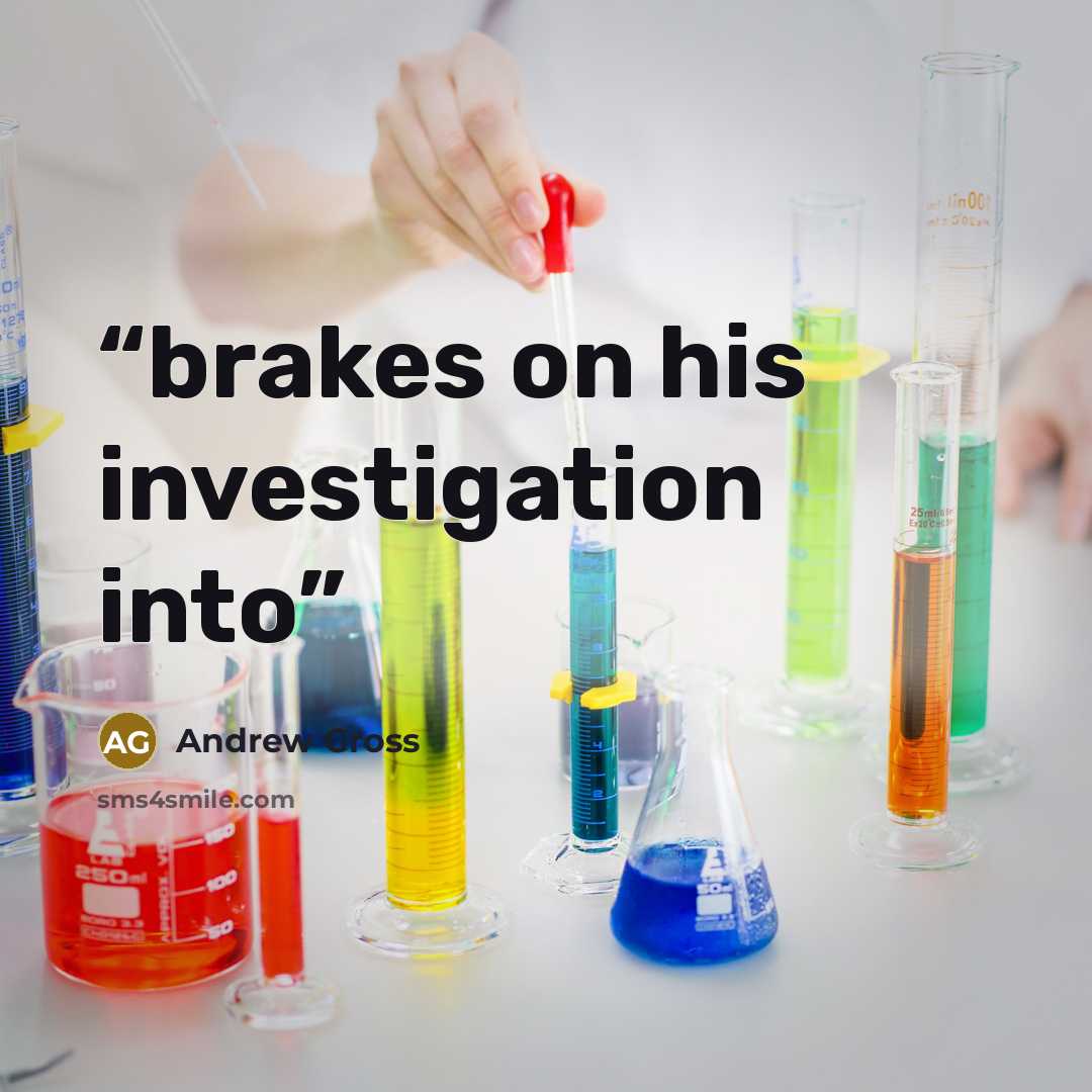 “brakes on his investigation into” quote by Andrew Gross