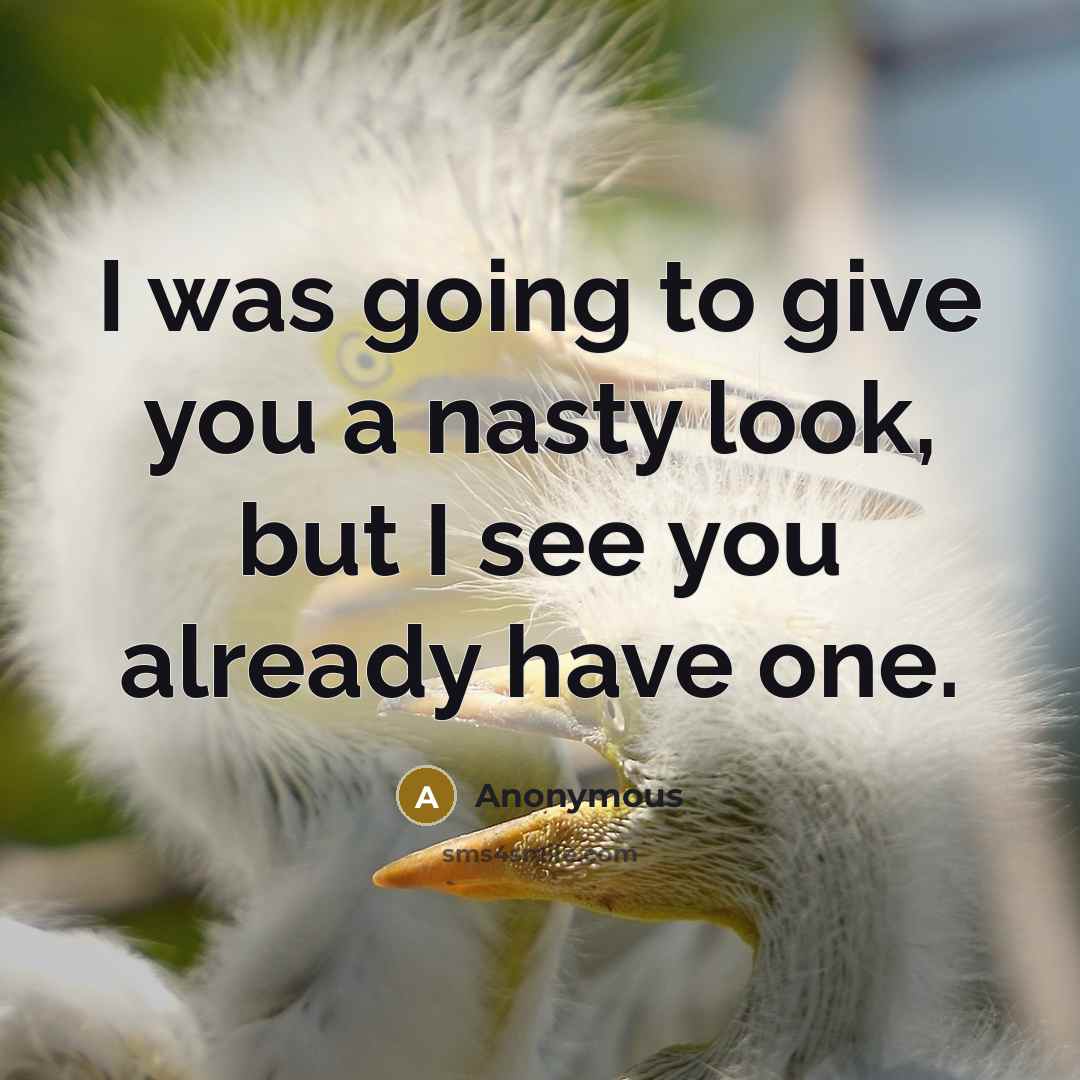 “I was going to give you a nasty look, but…” quote by Anonymous