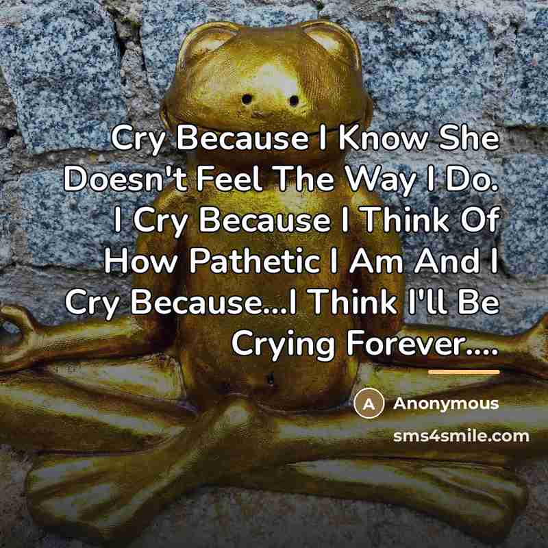 “Cry Because I Know She Doesn't Feel The Way I…” quote by Anonymous
