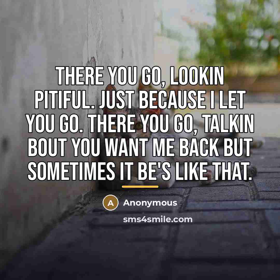 “There you go, lookin pitiful. Just because I let you…” quote by Anonymous