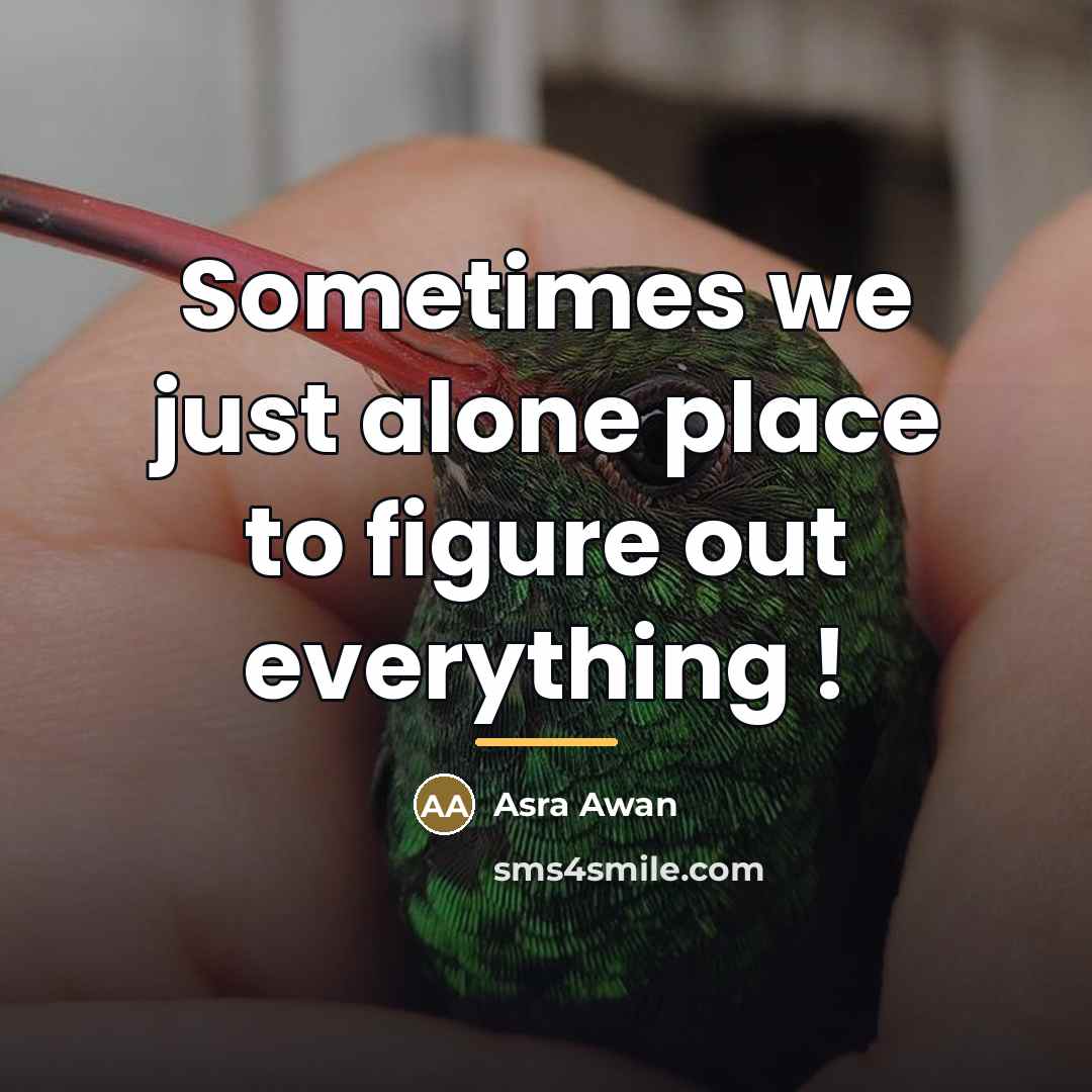 “Sometimes we just alone place to figure out everything !…” quote by Asra Awan
