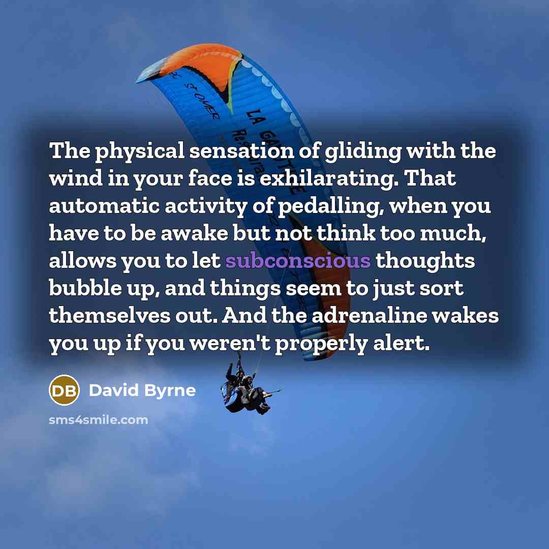 “The physical sensation of gliding with the wind in your…” quote by David Byrne