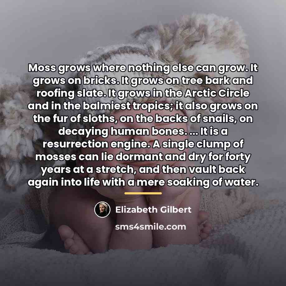 “Moss grows where nothing else can grow. It grows on…” quote by Elizabeth Gilbert