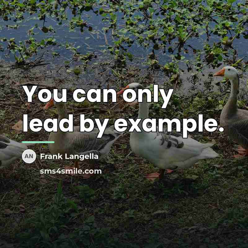 “You can only lead by example.…” quote by Frank Langella