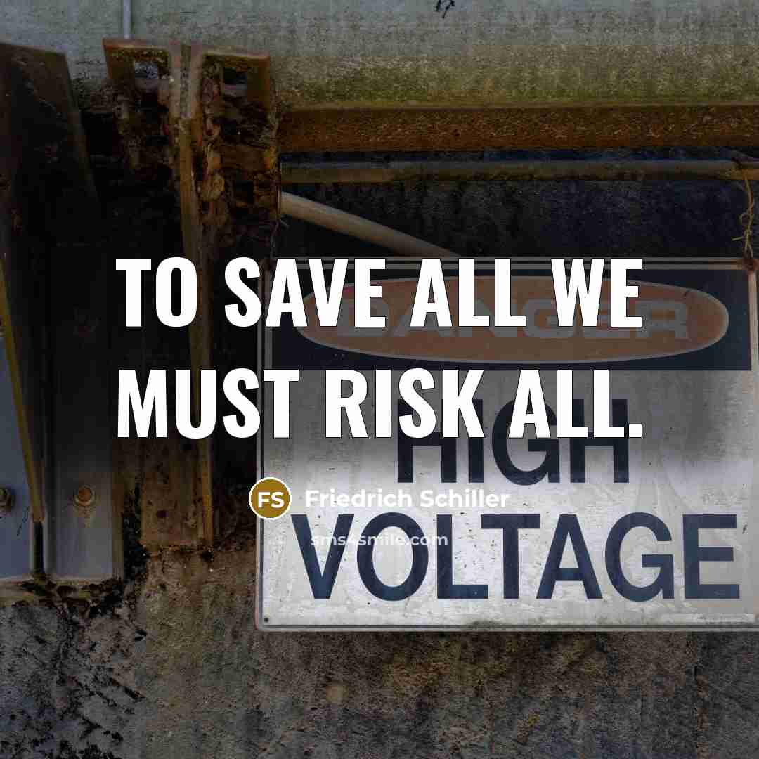 “To save all we must risk all.…” quote by Friedrich Schiller
