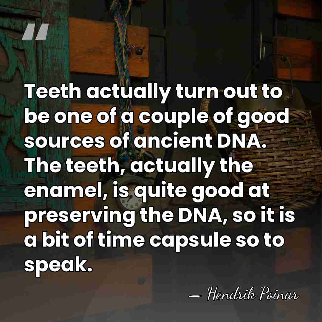 Teeth actually turn out to be one of a couple of good&hellip; - Hendrik Poinar