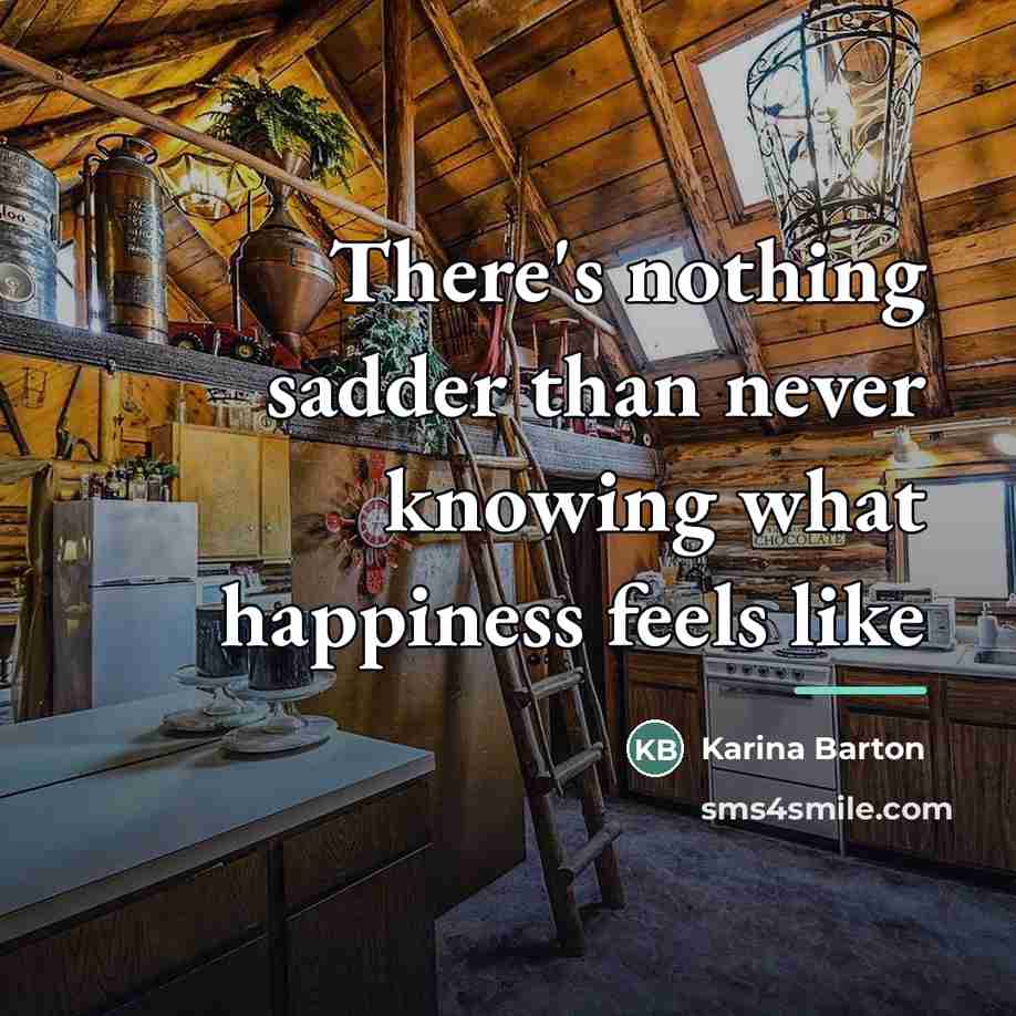 “There's nothing sadder than never knowing what happiness feels like…” quote by Karina Barton