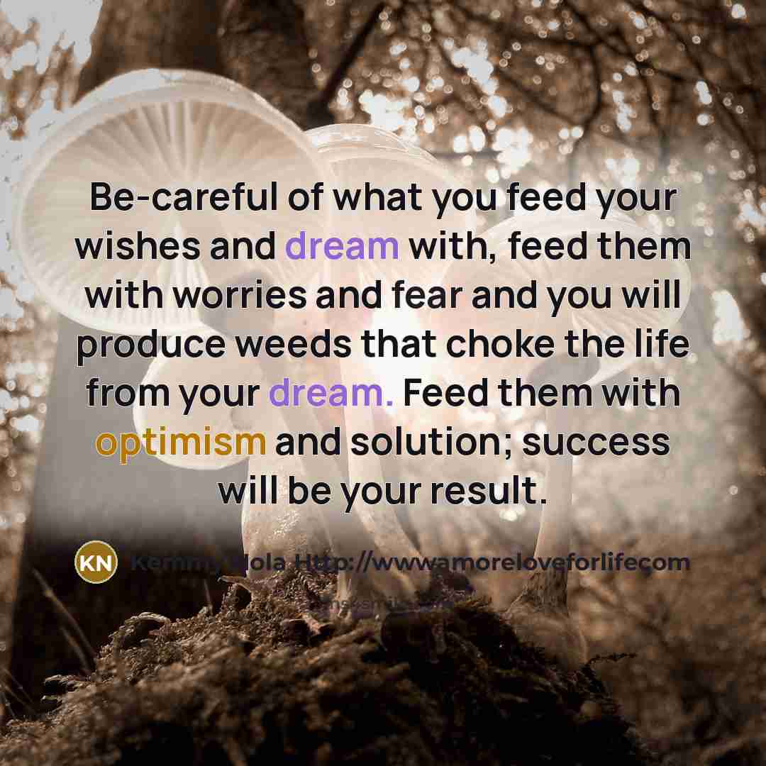 “Be-careful of what you feed your wishes and dream with,…” quote by Kemmy Nola Http://wwwamoreloveforlifecom