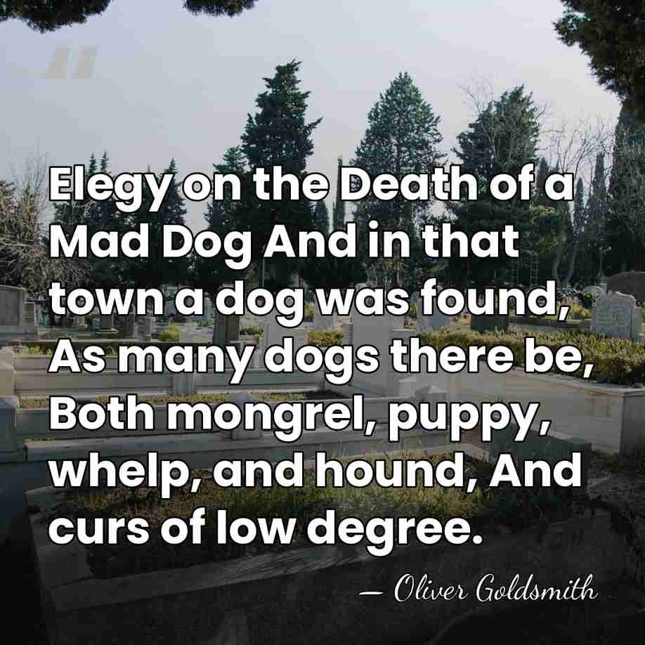Elegy on the Death of a Mad Dog And in that town&hellip; - Oliver Goldsmith