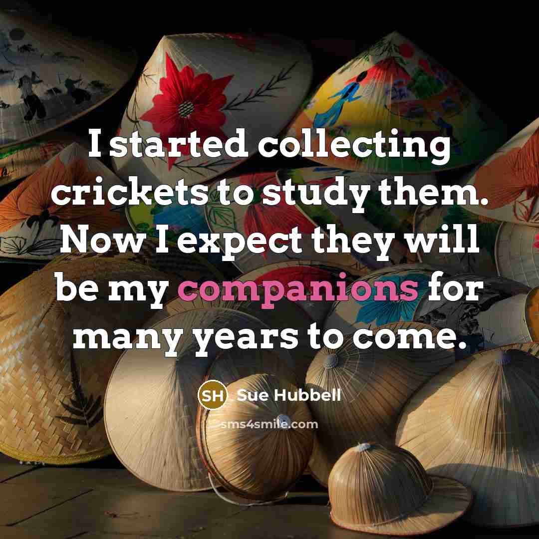 “I started collecting crickets to study them. Now I expect they will be my companions for many years to come.” quote by Sue Hubbell