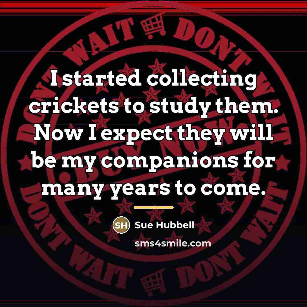 “I started collecting crickets to study them. Now I expect…” quote by Sue Hubbell