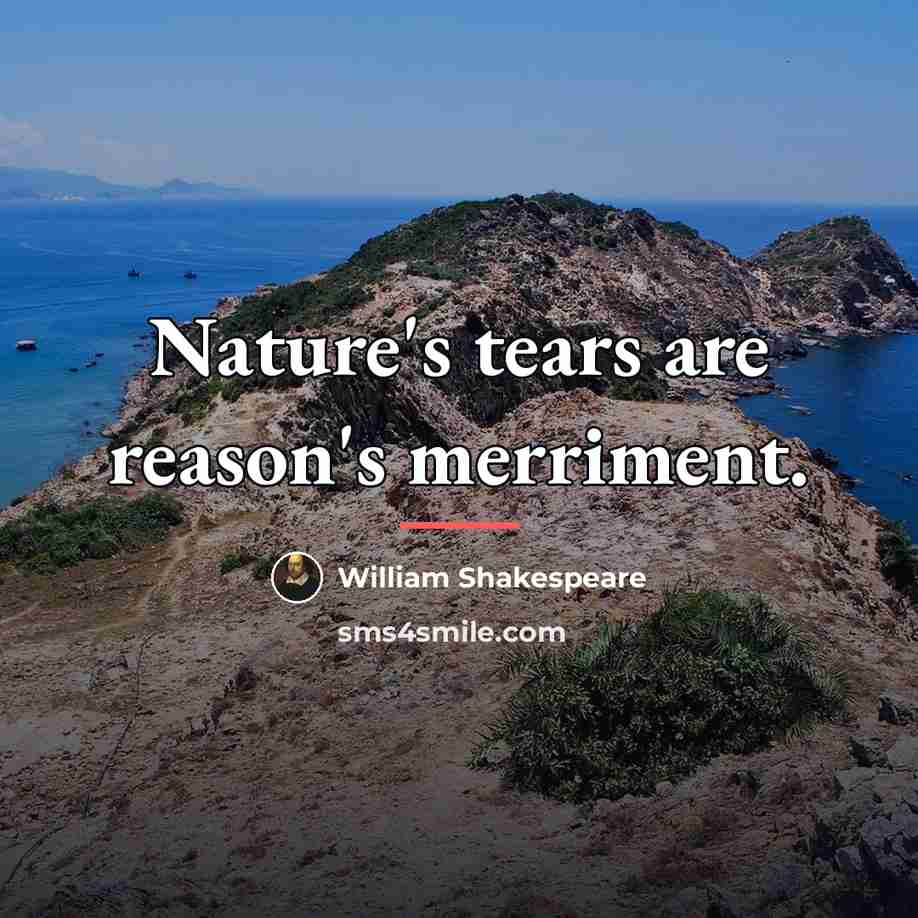 “Nature's tears are reason's merriment.…” quote by William Shakespeare