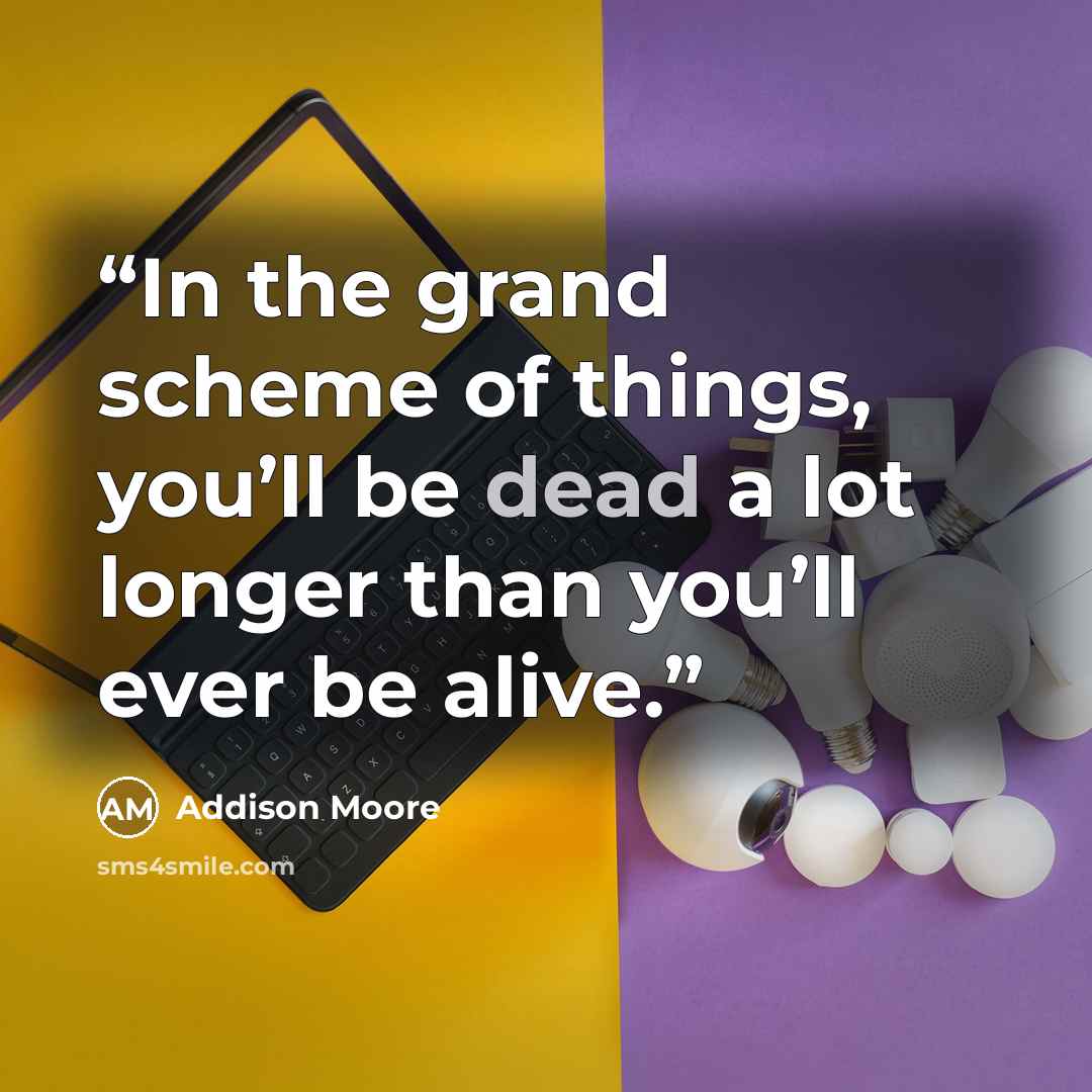 “In the grand scheme of things, you’ll be dead a lot longer than you’ll ever be alive.” quote by Addison Moore
