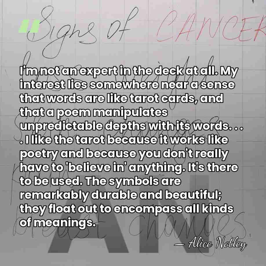 I'm not an expert in the deck at all. My interest lies&hellip; - Alice Notley