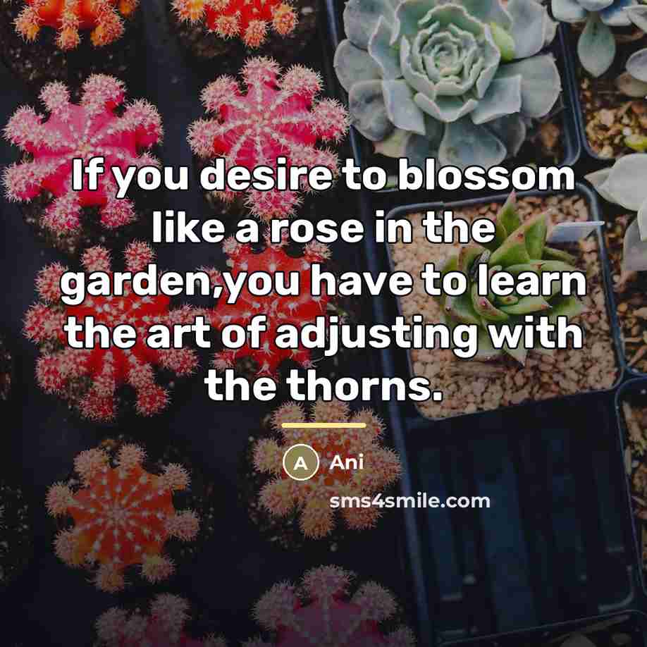 “If you desire to blossom like a rose in the…” quote by Ani