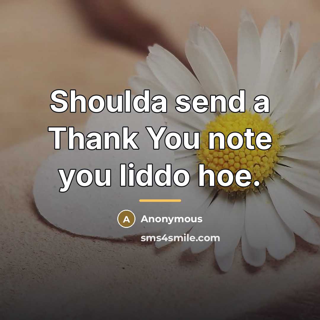 “Shoulda send a Thank You note you liddo hoe.…” quote by Anonymous
