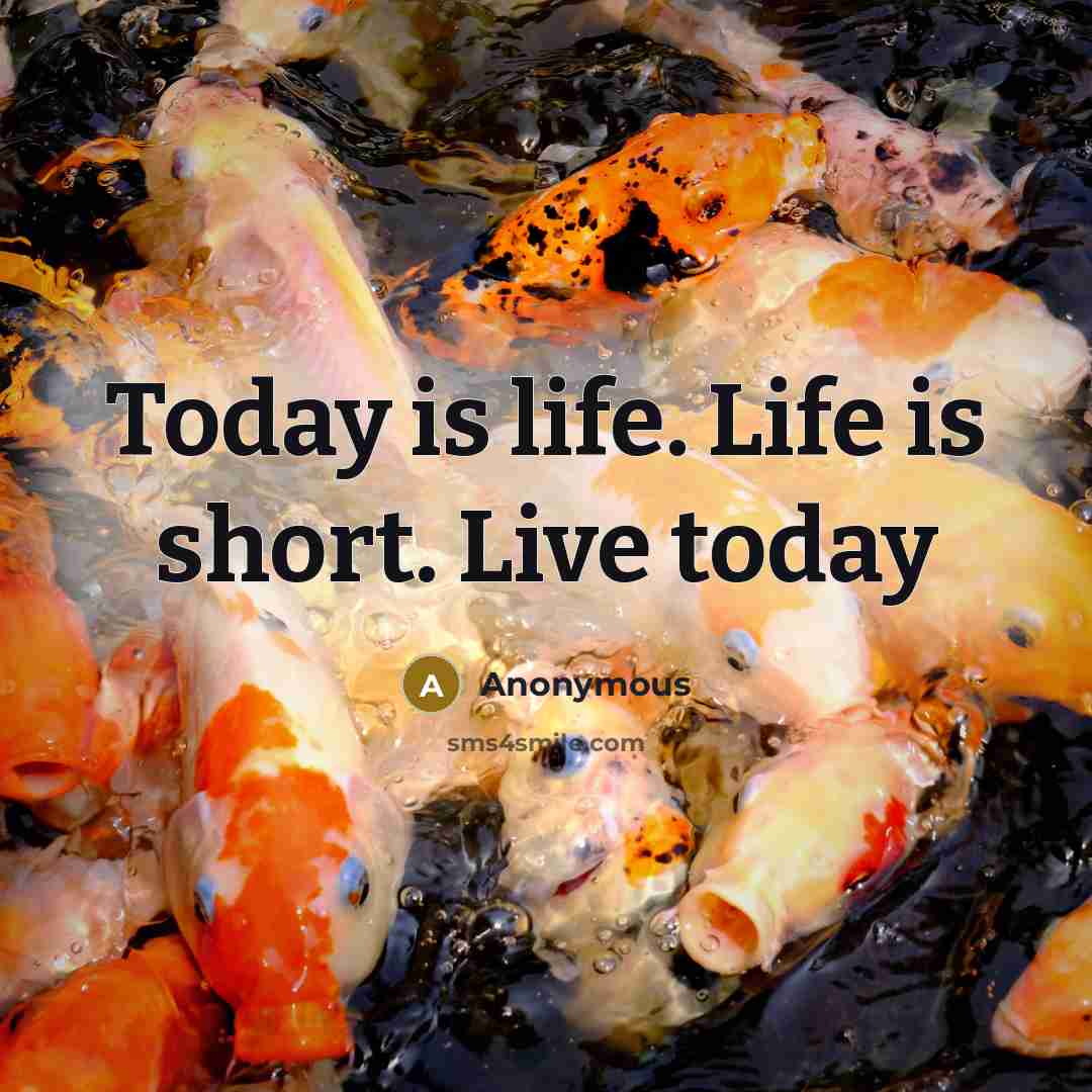 “Today is life. Life is short. Live today” quote by Anonymous