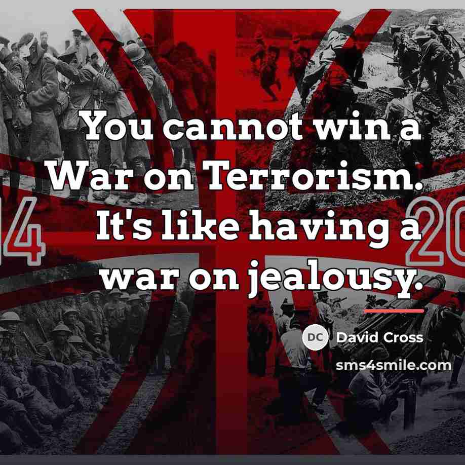 “You cannot win a War on Terrorism. It's like having…” quote by David Cross