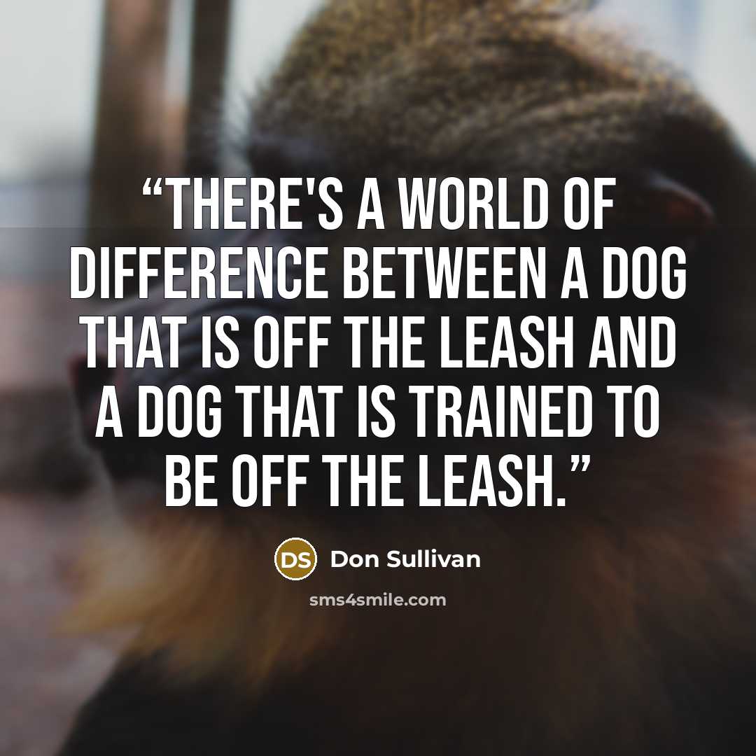 “There's a world of difference between a dog that is off the leash and a dog that is trained to be off the leash.” quote by Don Sullivan