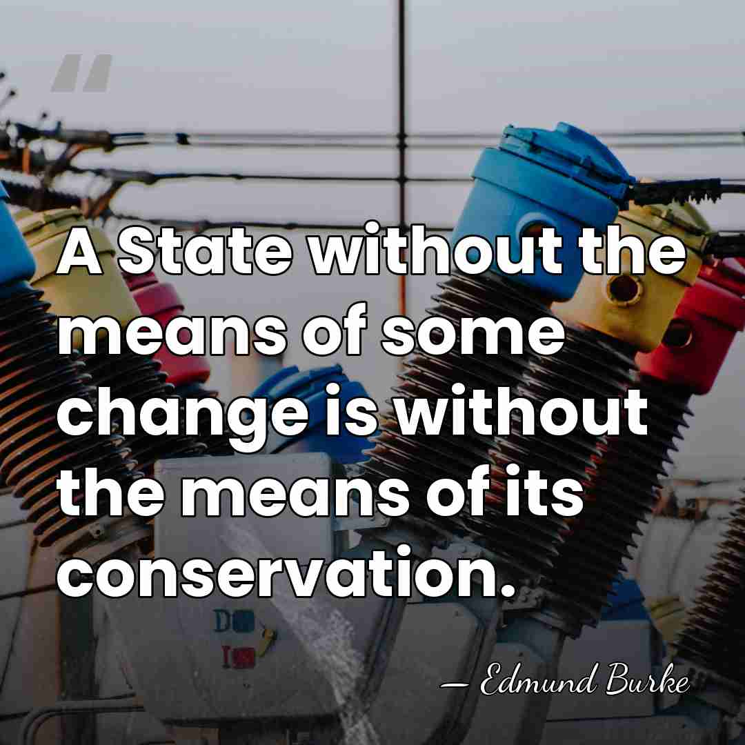 A State without the means of some change is without the means&hellip; - Edmund Burke