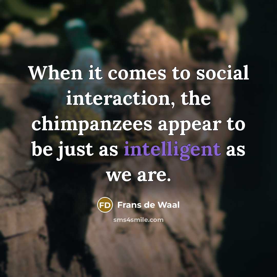 “When it comes to social interaction, the chimpanzees appear to be just as intelligent as we are.” quote by Frans de Waal