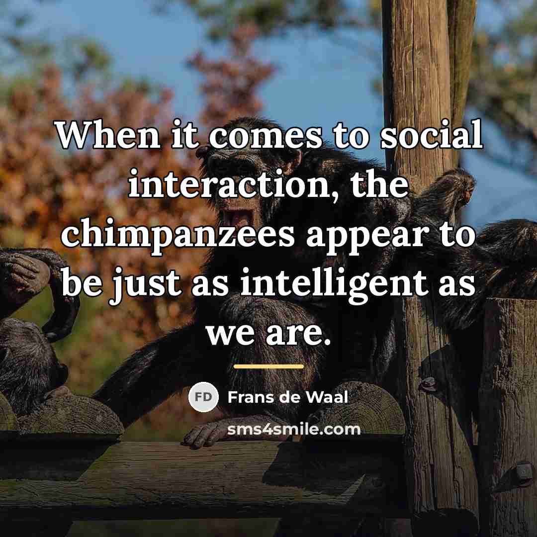“When it comes to social interaction, the chimpanzees appear to…” quote by Frans de Waal