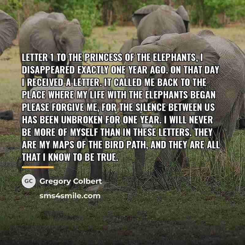 “Letter 1 To the princess of the elephants, I disappeared…” quote by Gregory Colbert
