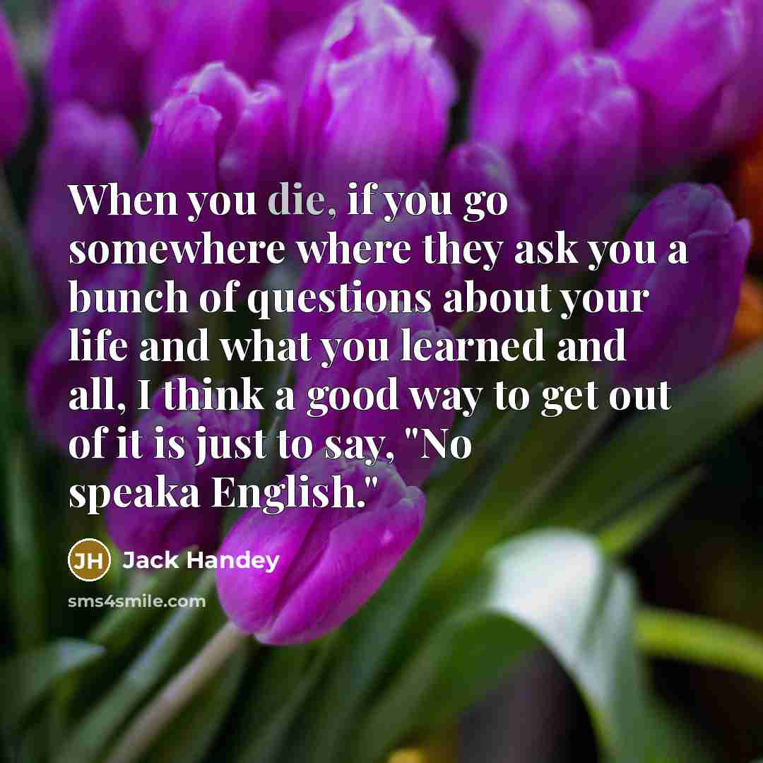 “When you die, if you go somewhere where they ask…” quote by Jack Handey