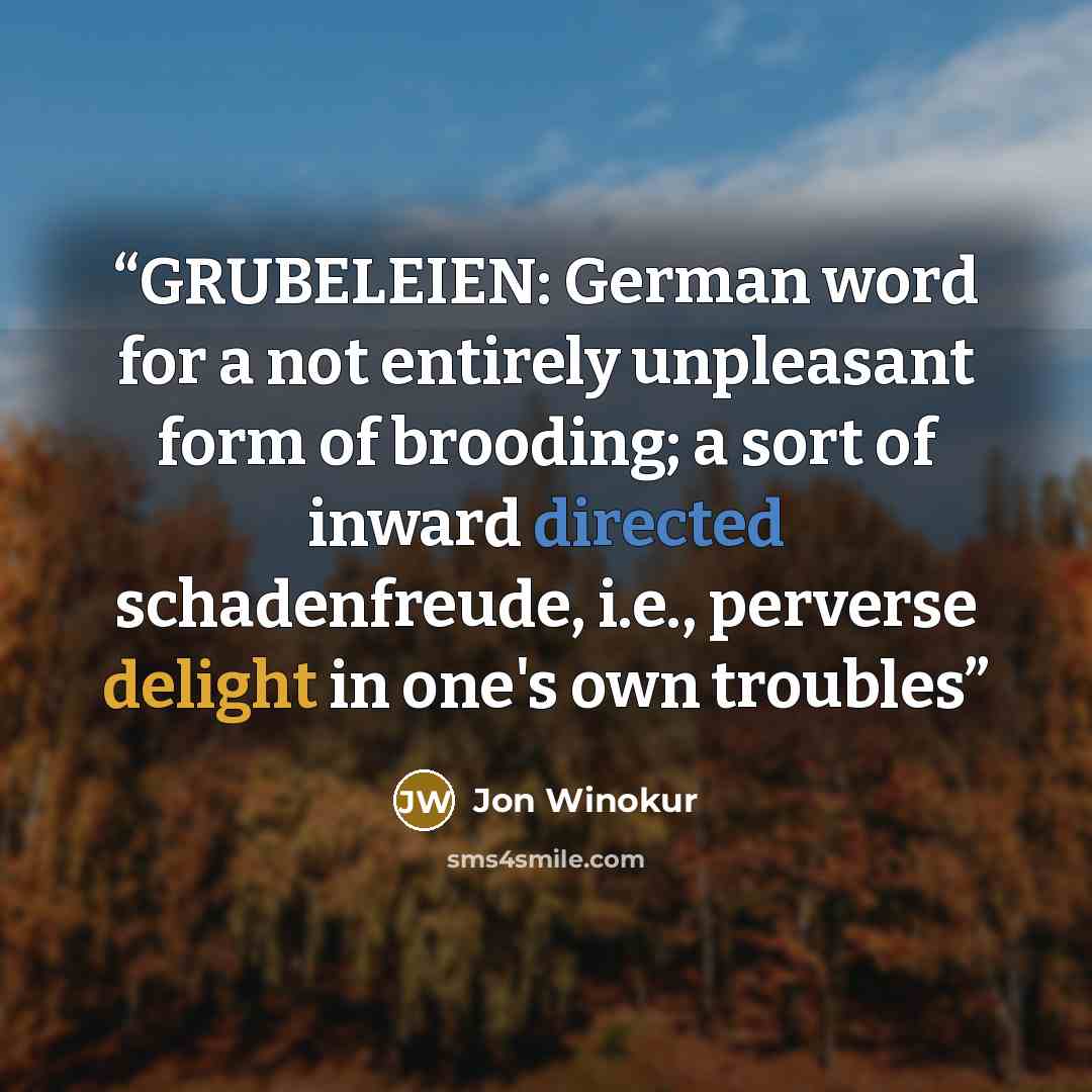 “GRUBELEIEN: German word for a not entirely unpleasant form of brooding; a sort of inward directed schadenfreude, i.e., perverse delight in one's own troubles” quote by Jon Winokur