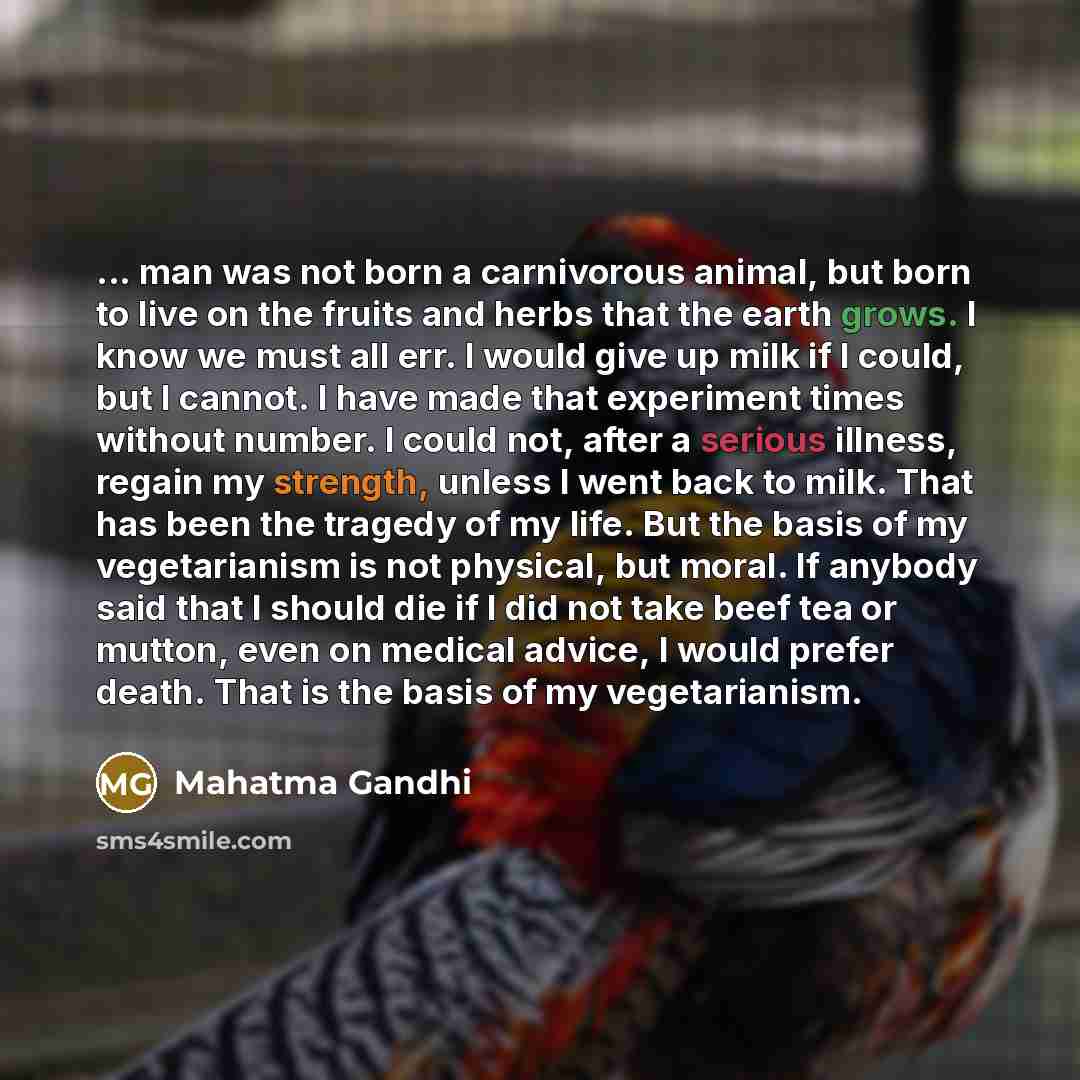 “... man was not born a carnivorous animal, but born…” quote by Mahatma Gandhi