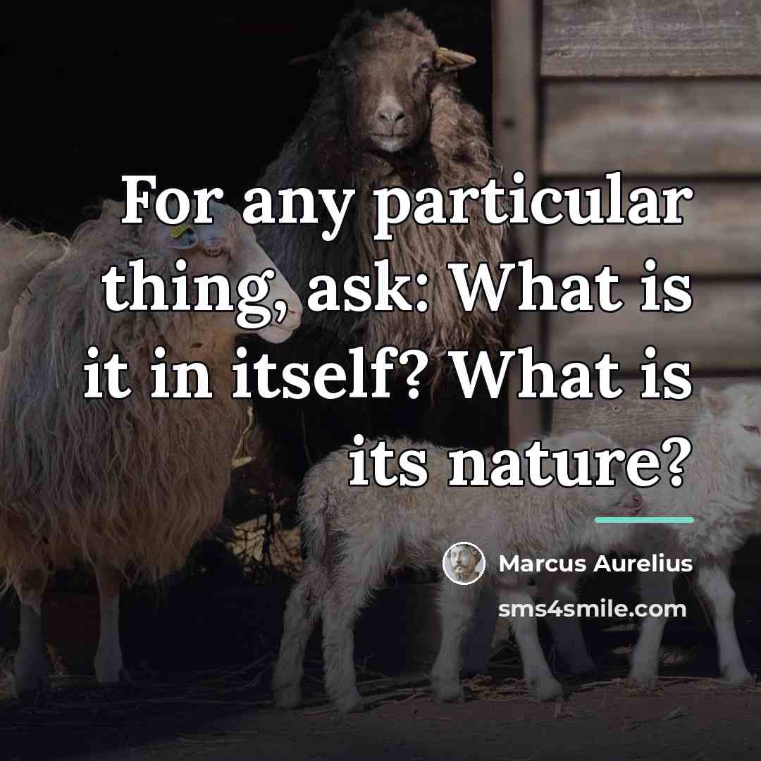 “For any particular thing, ask: What is it in itself?…” quote by Marcus Aurelius