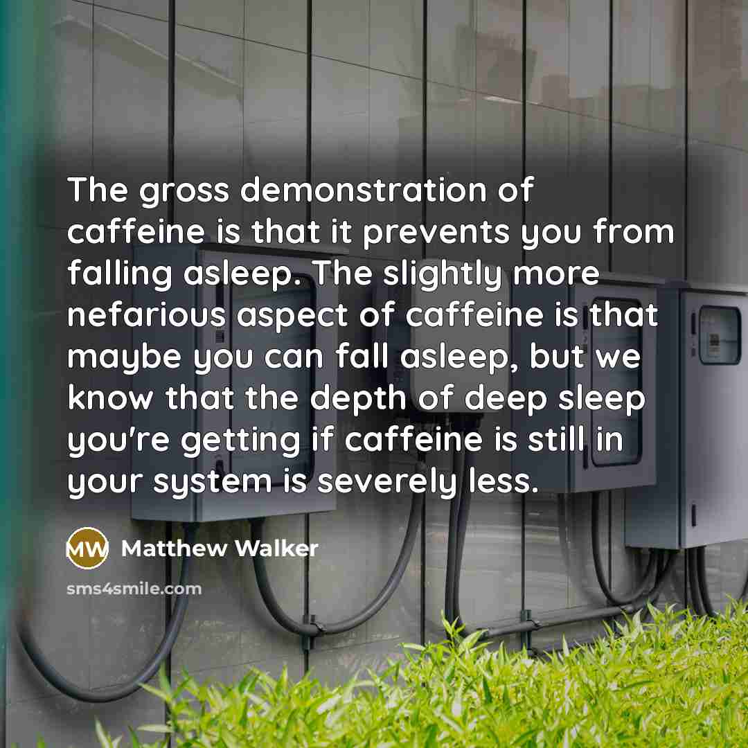 “The gross demonstration of caffeine is that it prevents you…” quote by Matthew Walker