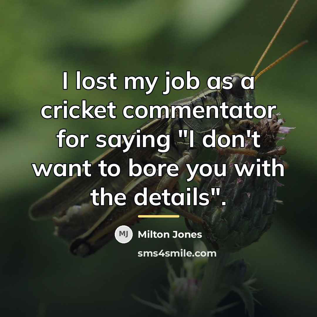 “I lost my job as a cricket commentator for saying…” quote by Milton Jones
