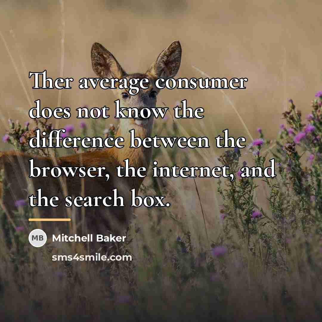 “Ther average consumer does not know the difference between the…” quote by Mitchell Baker