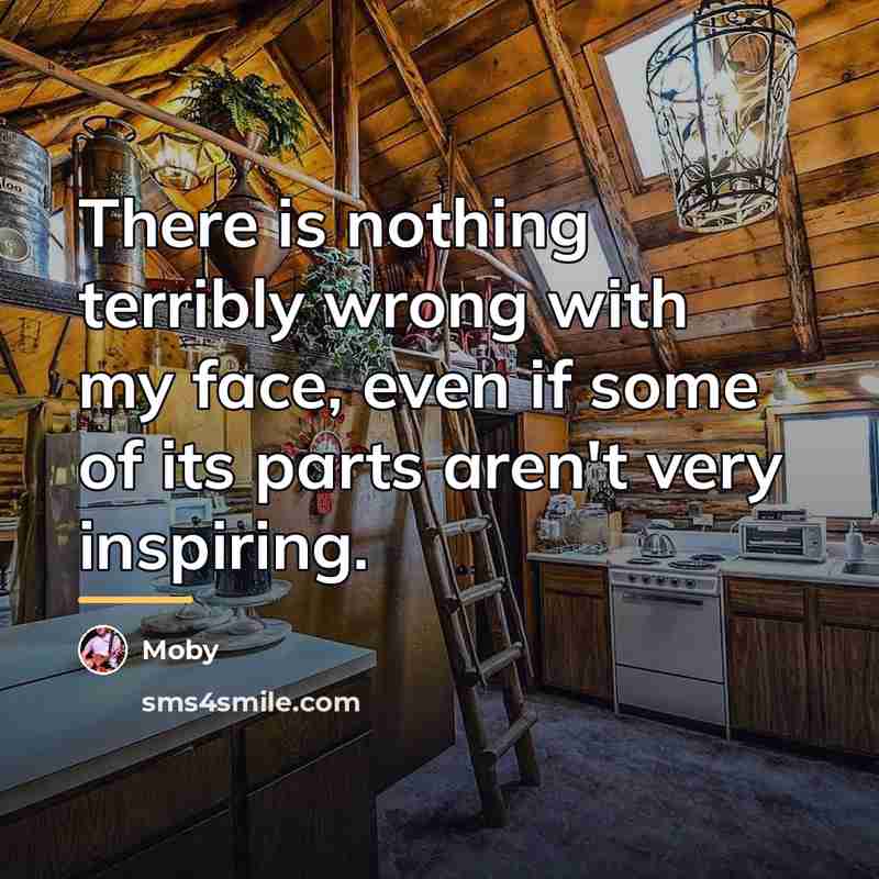 “There is nothing terribly wrong with my face, even if…” quote by Moby