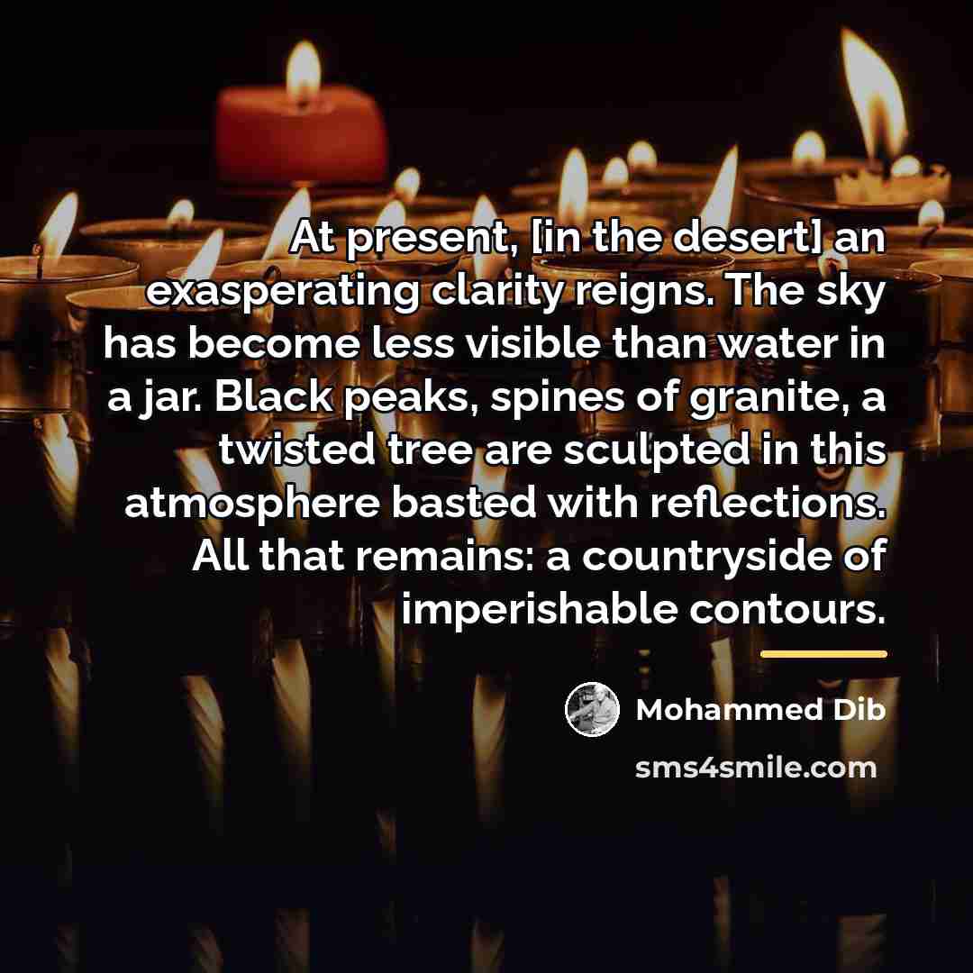 “At present, [in the desert] an exasperating clarity reigns. The…” quote by Mohammed Dib