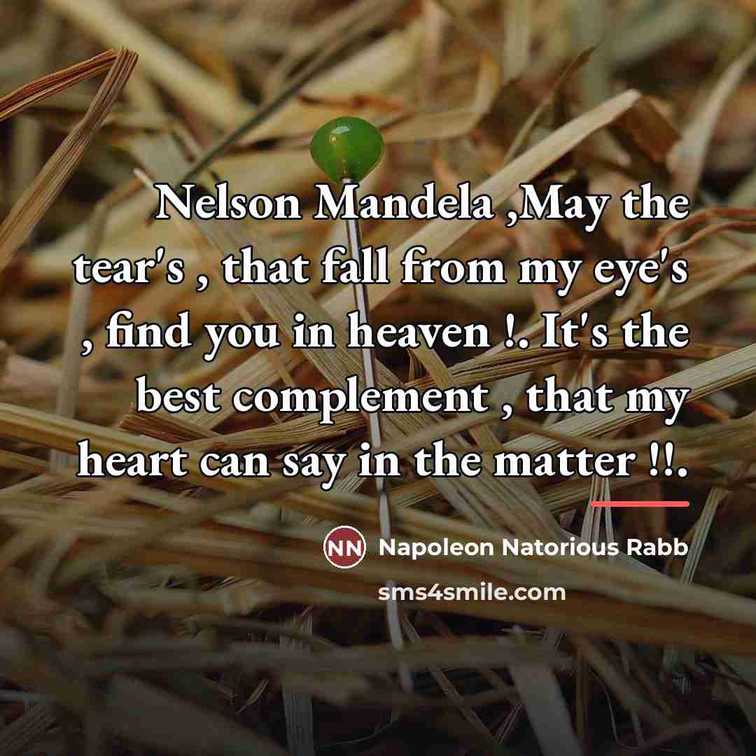 “Nelson Mandela ,May the tear's , that fall from my…” quote by Napoleon Natorious Rabb