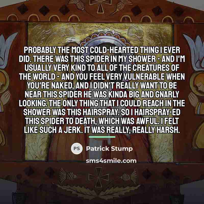 “Probably the most cold-hearted thing I ever did. There was…” quote by Patrick Stump