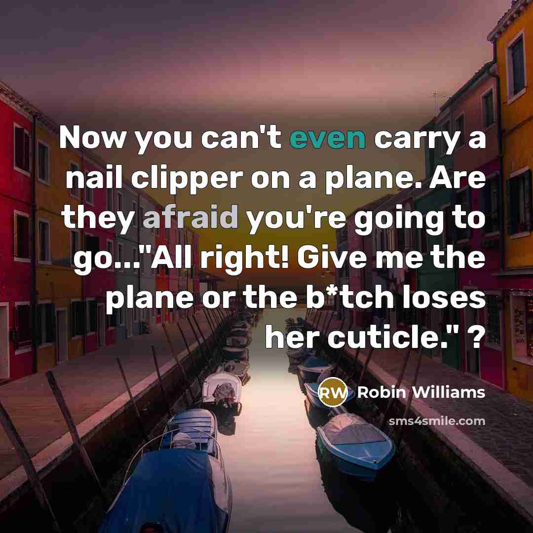 “Now you can't even carry a nail clipper on a…” quote by Robin Williams