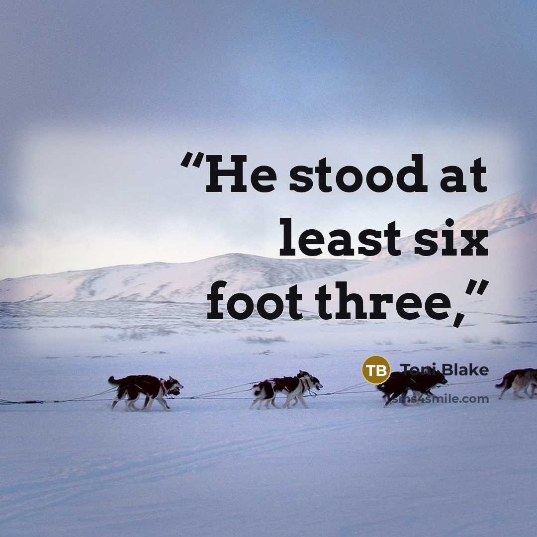 “He stood at least six foot three,” quote by Toni Blake